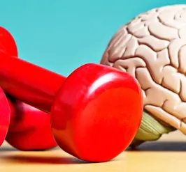 weights and brain
