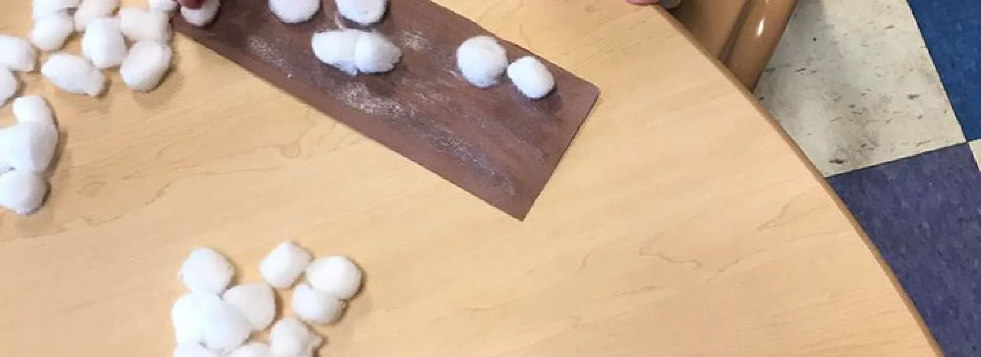 Curious Caterpillars